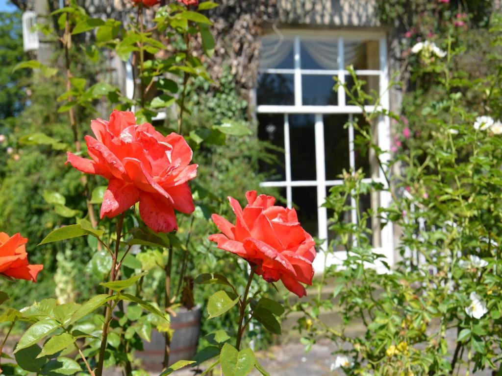 Powis House B&Bスターリング エクステリア 写真